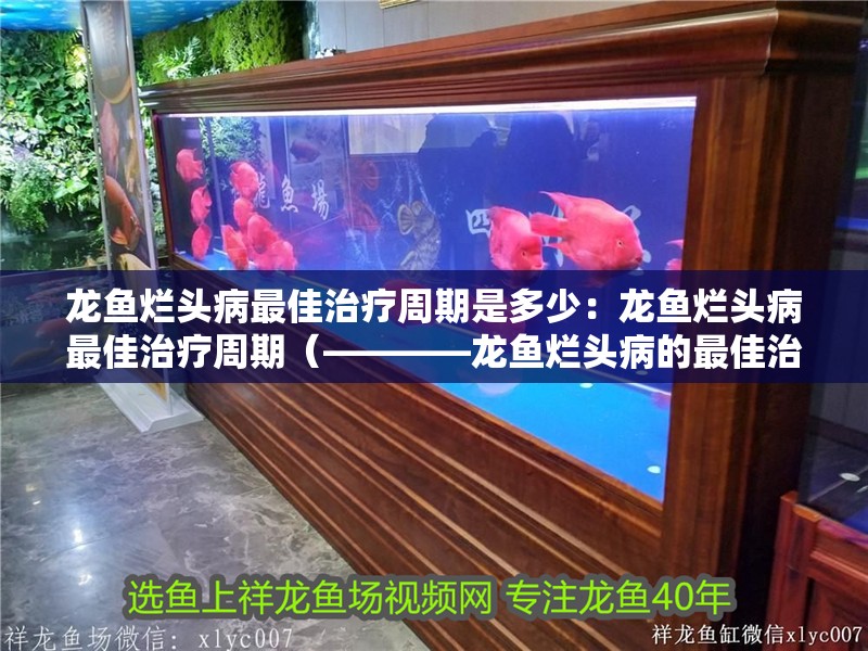 龍魚爛頭病最佳治療周期是多少：龍魚爛頭病最佳治療周期（————龍魚爛頭病的最佳治療周期）