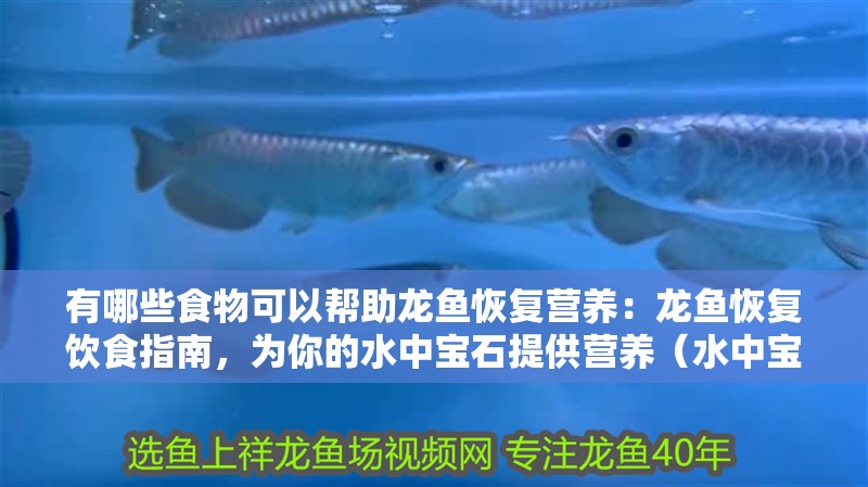 有哪些食物可以幫助龍魚恢復營養：龍魚恢復飲食指南，為你的水中寶石提供營養（水中寶石提供營養的飲食指南：**均衡飲食指南）