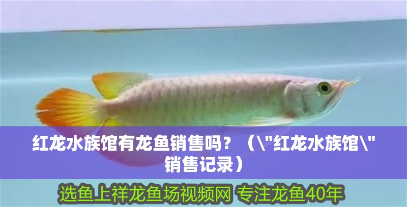 紅龍水族館有龍魚銷售嗎？（\