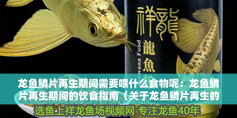 龍魚鱗片再生期間需要喂什么食物呢：龍魚鱗片再生期間的飲食指南（關于龍魚鱗片再生的飲食指南）
