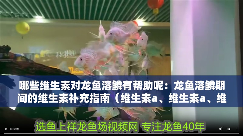 哪些維生素對龍魚溶鱗有幫助呢：龍魚溶鱗期間的維生素補充指南（維生素a、維生素a、維生素a對龍魚溶鱗有益的維生素a）