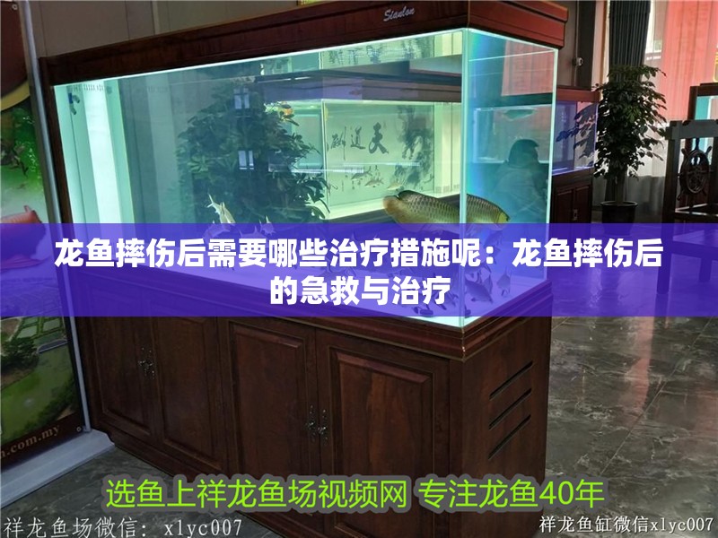 龍魚摔傷后需要哪些治療措施呢：龍魚摔傷后的急救與治療