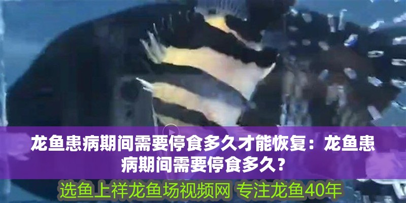龍魚患病期間需要停食多久才能恢復：龍魚患病期間需要停食多久？ 龍魚患病期間需要停食多久才能恢復：龍魚患病期間需要停食多久？ 水族問答