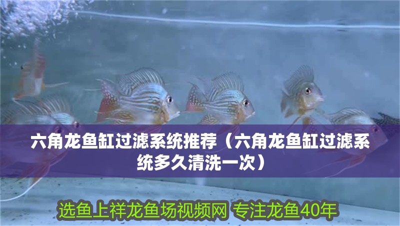六角龍魚缸過濾系統(tǒng)推薦（六角龍魚缸過濾系統(tǒng)多久清洗一次）