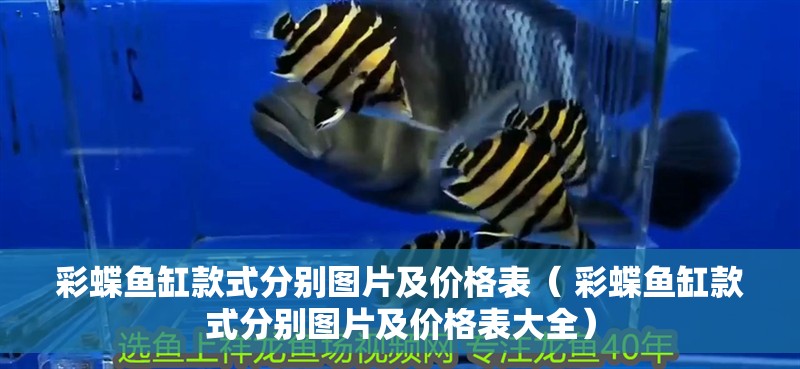 彩蝶魚缸款式分別圖片及價格表（ 彩蝶魚缸款式分別圖片及價格表大全）