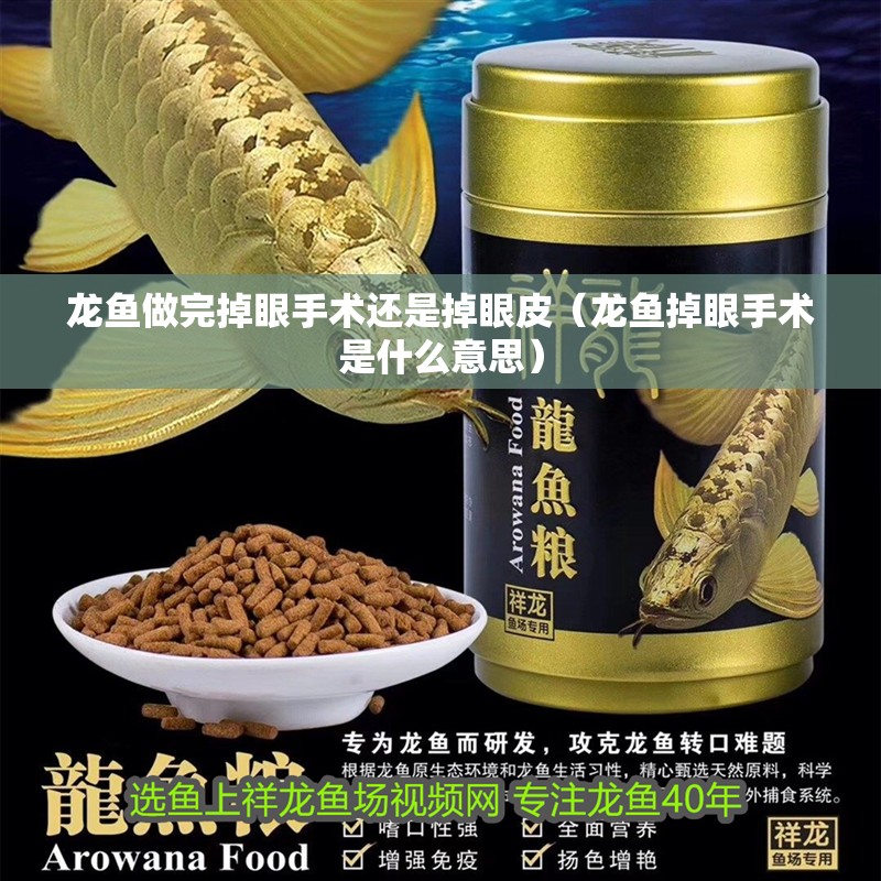 龍魚做完掉眼手術還是掉眼皮（龍魚掉眼手術是什么意思）