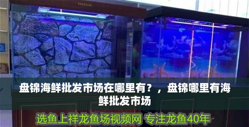 盤錦海鮮批發市場在哪里有？，盤錦哪里有海鮮批發市場