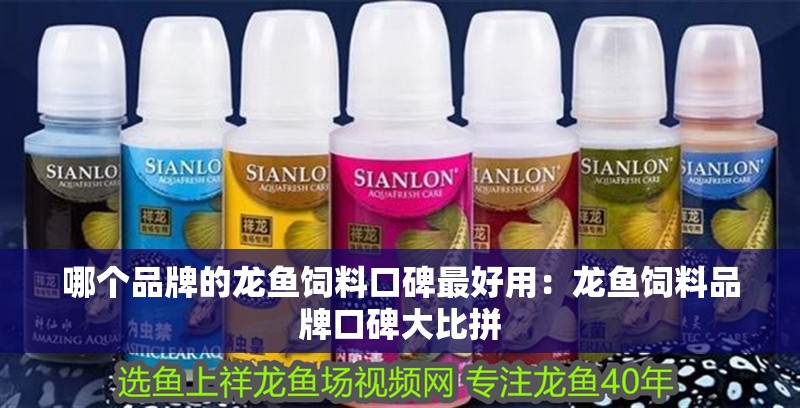 哪個品牌的龍魚飼料口碑最好用：龍魚飼料品牌口碑大比拼