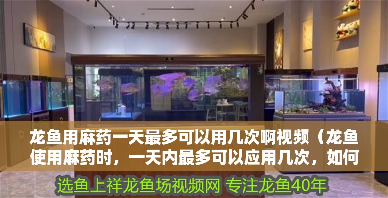 龍魚用麻藥一天最多可以用幾次啊視頻（龍魚使用麻藥時，一天內最多可以應用幾次，如何確保使用頻率）
