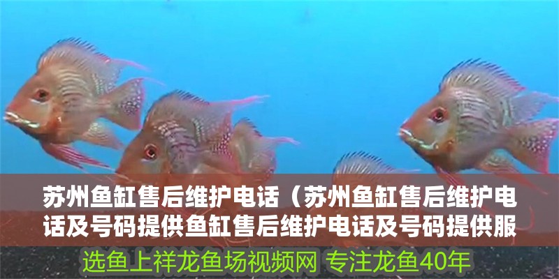 蘇州魚缸售后維護電話（蘇州魚缸售后維護電話及號碼提供魚缸售后維護電話及號碼提供服務）