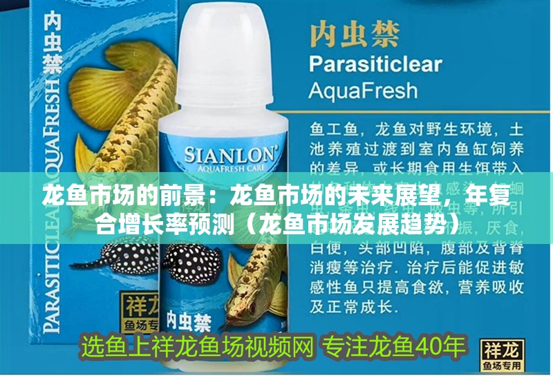 魚缸用增氧泵價格是多少:魚缸增氧機-xtrac增氧機-xtrac增氧機 龍魚市場的前景:龍魚市場的未來展望,年復合增長率預測(龍魚市場發展趨勢) 水族問答 龍魚市場的前景:龍魚市場的未來展望,年復合增長率預測(龍魚市場發展趨勢) 龍魚市場的前景:龍魚市場的未來展望,年復合增長率預測(龍魚市場發展趨勢) 水族問答