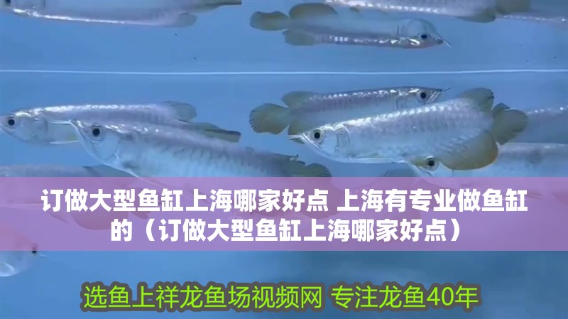 訂做大型魚缸上海哪家好點(diǎn) 上海有專業(yè)做魚缸的（訂做大型魚缸上海哪家好點(diǎn)）