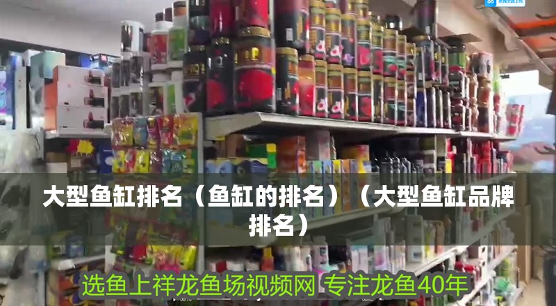 大型魚缸排名（魚缸的排名）（大型魚缸品牌排名）