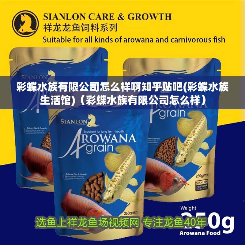 彩蝶水族有限公司怎么樣啊知乎貼吧(彩蝶水族生活館)（彩蝶水族有限公司怎么樣）