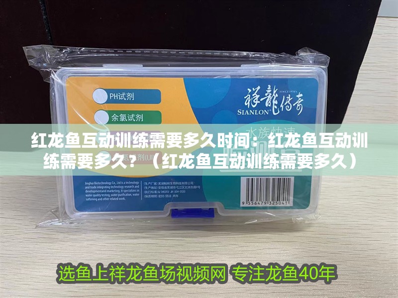 紅龍魚互動訓(xùn)練需要多久時間：紅龍魚互動訓(xùn)練需要多久？（紅龍魚互動訓(xùn)練需要多久）