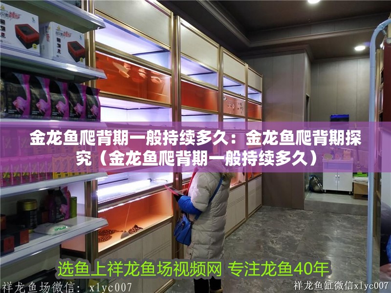 金龍魚爬背期一般持續多久：金龍魚爬背期探究（金龍魚爬背期一般持續多久） 金龍魚爬背期一般持續多久：金龍魚爬背期探究（金龍魚爬背期一般持續多久） 水族問答