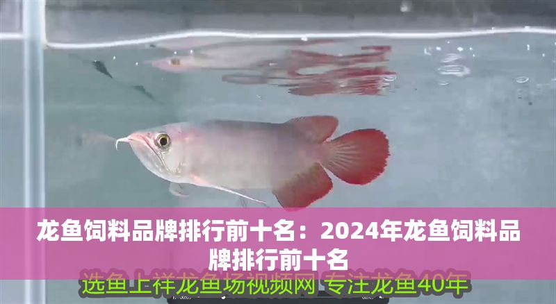 龍魚飼料品牌排行前十名：2024年龍魚飼料品牌排行前十名