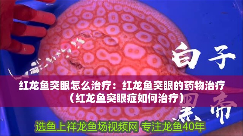 紅龍魚突眼怎么治療：紅龍魚突眼的藥物治療（紅龍魚突眼癥如何治療）