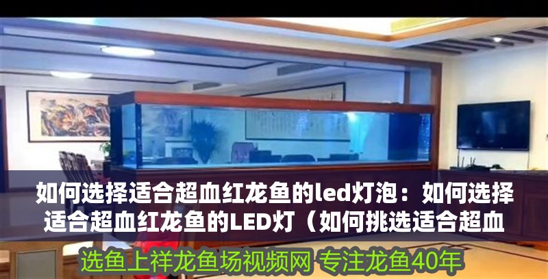 如何選擇適合超血紅龍魚的led燈泡：如何選擇適合超血紅龍魚的LED燈（如何挑選適合超血紅龍魚的led燈）