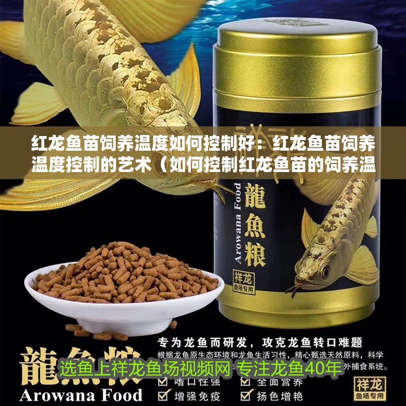 紅龍魚(yú)苗飼養(yǎng)溫度如何控制好：紅龍魚(yú)苗飼養(yǎng)溫度控制的藝術(shù)（如何控制紅龍魚(yú)苗的飼養(yǎng)溫度）