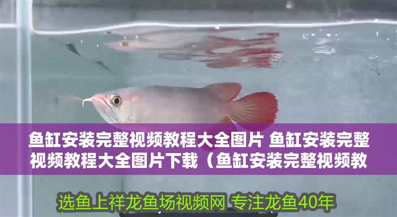 魚缸安裝完整視頻教程大全圖片 魚缸安裝完整視頻教程大全圖片下載（魚缸安裝完整視頻教程大全圖片）