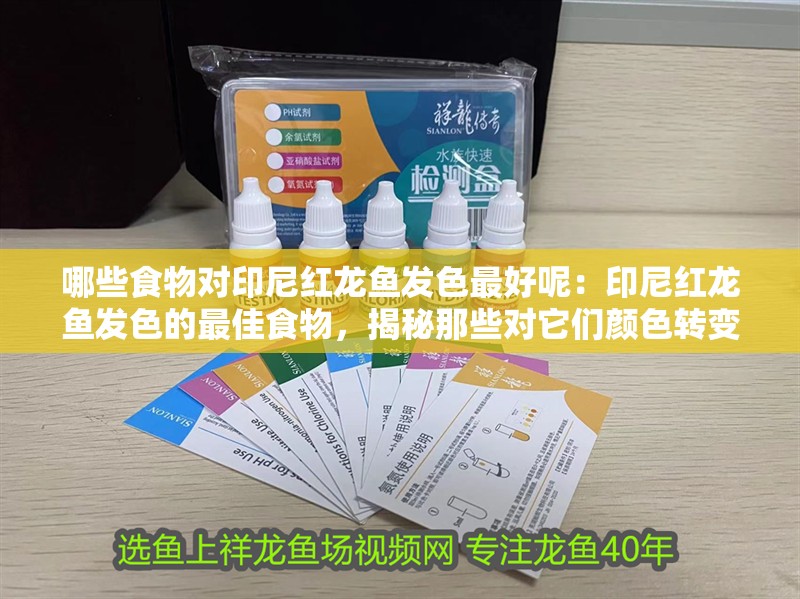 哪些食物對印尼紅龍魚發(fā)色最好呢：印尼紅龍魚發(fā)色的最佳食物，揭秘那些對它們顏色轉(zhuǎn)變至關(guān)重要的食材（印尼紅龍魚發(fā)色的關(guān)鍵營養(yǎng)）