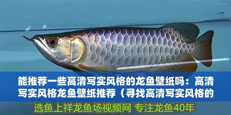 能推薦一些高清寫實風格的龍魚壁紙嗎：高清寫實風格龍魚壁紙推薦（尋找高清寫實風格的龍魚壁紙《龍騰四海》系列壁紙推薦）