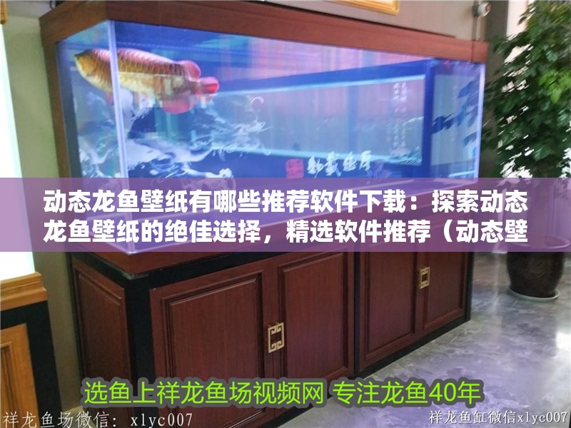 動態龍魚壁紙有哪些推薦軟件下載：探索動態龍魚壁紙的絕佳選擇，精選軟件推薦（動態壁紙動態壁紙動態壁紙動態壁紙動態壁紙動態壁紙）