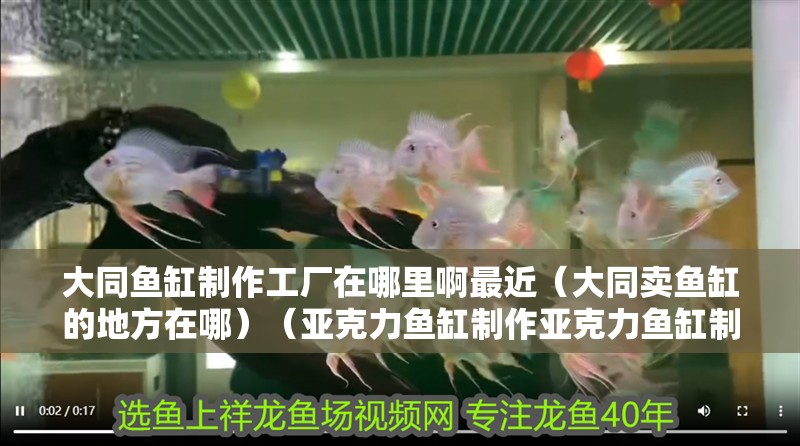 大同魚缸制作工廠在哪里啊最近（大同賣魚缸的地方在哪）（亞克力魚缸制作亞克力魚缸制作工程--粘貼法）