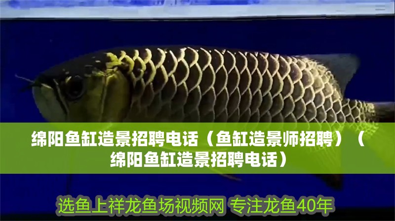 綿陽魚缸造景招聘電話（魚缸造景師招聘）（綿陽魚缸造景招聘電話）