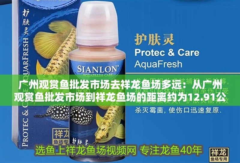 廣州觀賞魚批發(fā)市場去祥龍魚場多遠(yuǎn)：從廣州觀賞魚批發(fā)市場到祥龍魚場的距離約為12.91公里