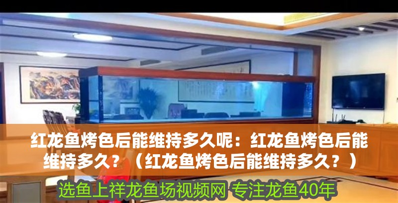 紅龍魚烤色后能維持多久呢：紅龍魚烤色后能維持多久？（紅龍魚烤色后能維持多久？）