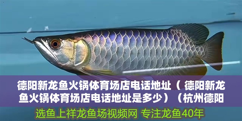 德陽新龍魚火鍋體育場店電話地址（ 德陽新龍魚火鍋體育場店電話地址是多少）（<strong><mark>杭州</mark></strong>德陽新龍魚火鍋體育場店電話安全問題在哪里）