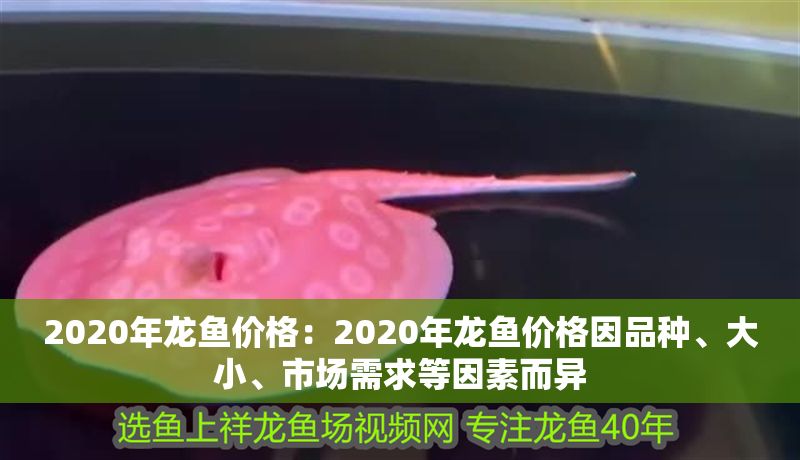 2020年龍魚價格：2020年龍魚價格因品種、大小、市場需求等因素而異