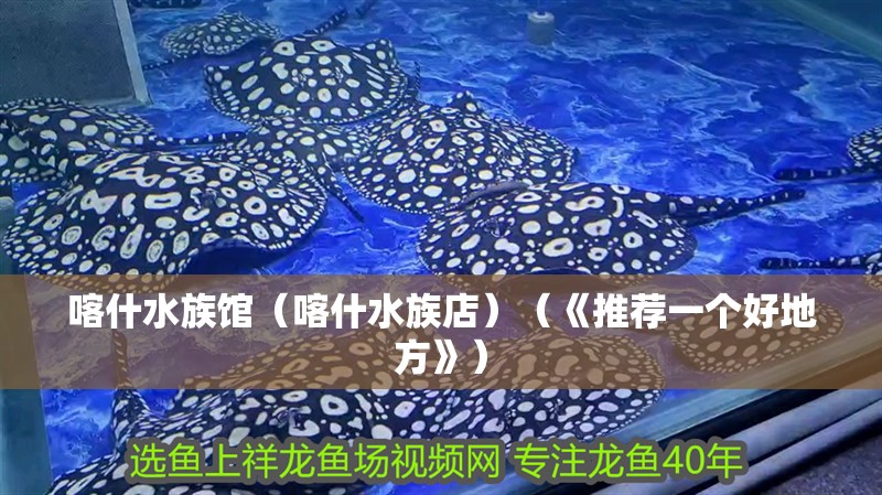 喀什水族館（喀什水族店）（《推薦一個好地方》）