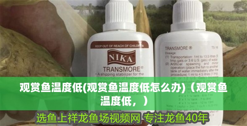 觀賞魚溫度低(觀賞魚溫度低怎么辦)（觀賞魚溫度低，） 觀賞魚溫度低(觀賞魚溫度低怎么辦)（觀賞魚溫度低，） 觀賞魚百科