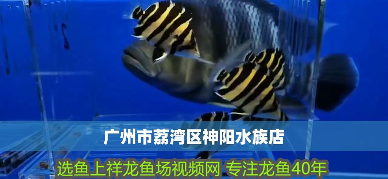 廣州市荔灣區神陽水族店
