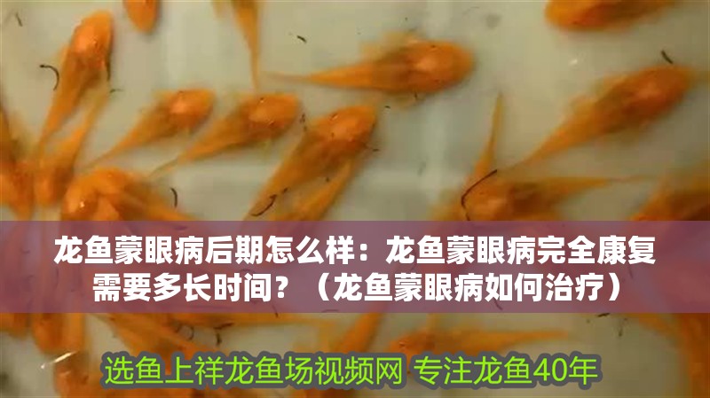 龍魚蒙眼病后期怎么樣：龍魚蒙眼病完全康復需要多長時間？（龍魚蒙眼病如何治療）