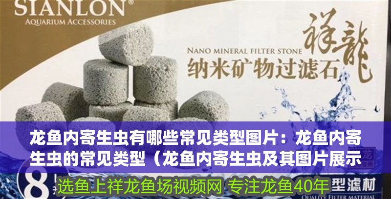 龍魚內(nèi)寄生蟲有哪些常見類型圖片：龍魚內(nèi)寄生蟲的常見類型（龍魚內(nèi)寄生蟲及其圖片展示龍魚的生命周期包括卵、幼蟲、成蟲） 龍魚內(nèi)寄生蟲有哪些常見類型圖片：龍魚內(nèi)寄生蟲的常見類型（龍魚內(nèi)寄生蟲及其圖片展示龍魚的生命周期包括卵、幼蟲、成蟲） 水族問答
