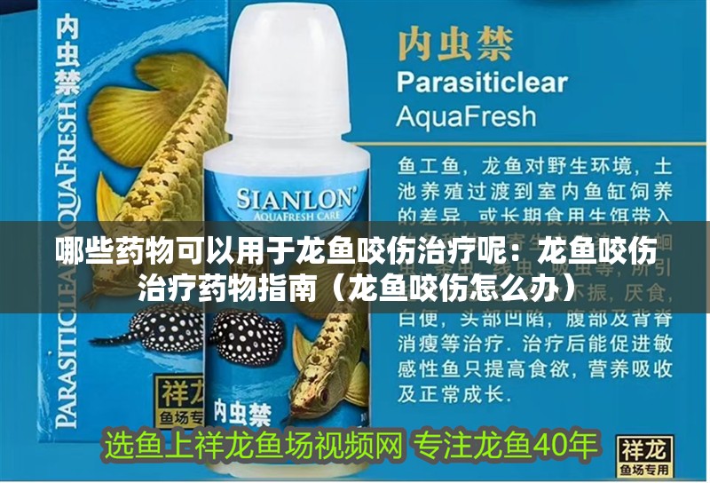 哪些藥物可以用于龍魚咬傷治療呢：龍魚咬傷治療藥物指南（龍魚咬傷怎么辦）