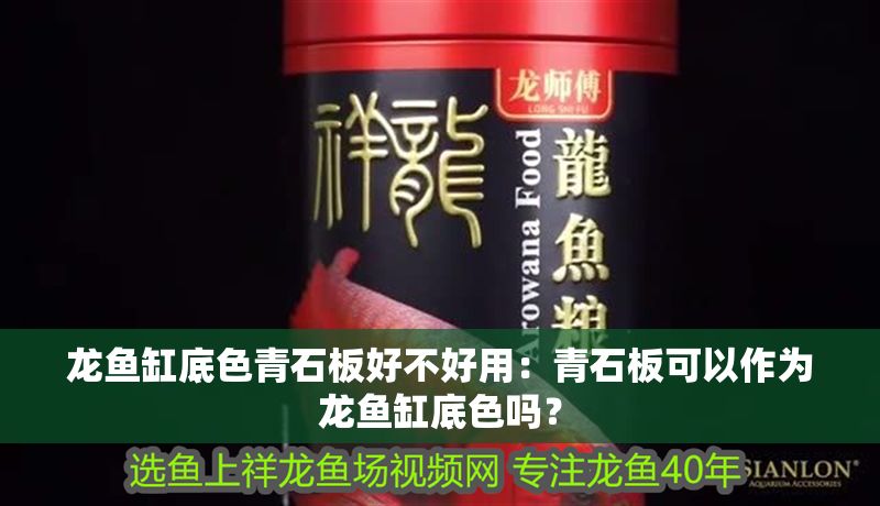 龍魚缸底色青石板好不好用：青石板可以作為龍魚缸底色嗎？