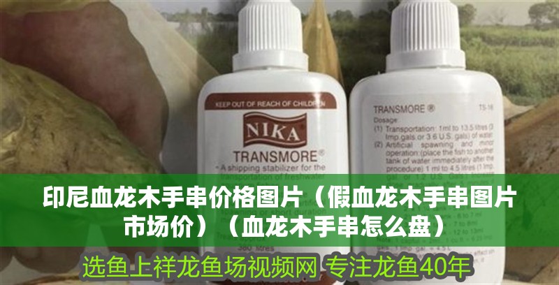 印尼血龍木手串價格圖片（假血龍木手串圖片 市場價）（血龍木手串怎么盤） 印尼血龍木手串價格圖片（假血龍木手串圖片 市場價）（血龍木手串怎么盤） 觀賞魚百科