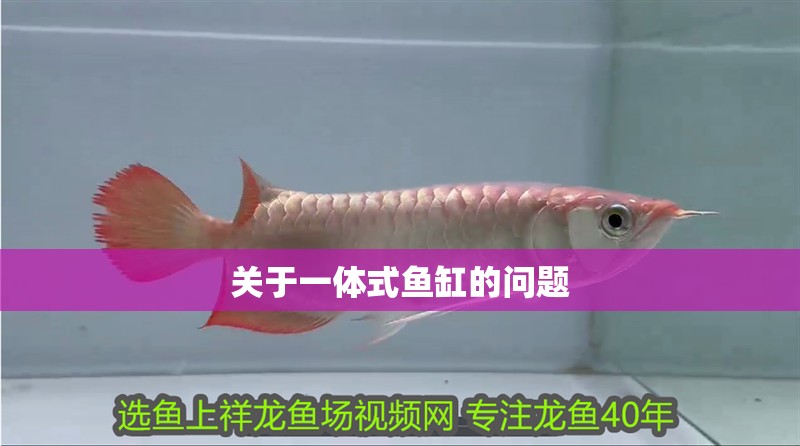 關于一體式魚缸的問題