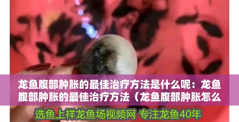 龍魚腹部腫脹的最佳治療方法是什么呢：龍魚腹部腫脹的最佳治療方法（龍魚腹部腫脹怎么辦）