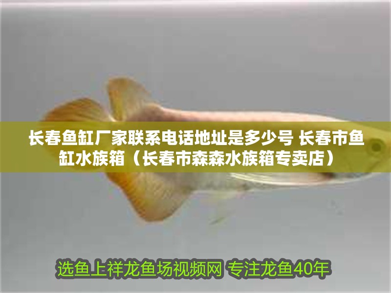 長春魚缸廠家聯系電話地址是多少號 長春市魚缸水族箱（長春市森森水族箱專賣店）