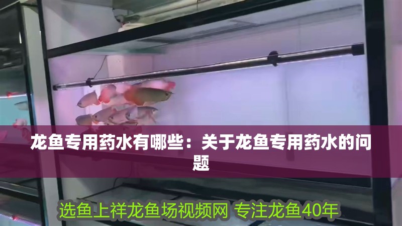 龍魚專用藥水有哪些：關于龍魚專用藥水的問題