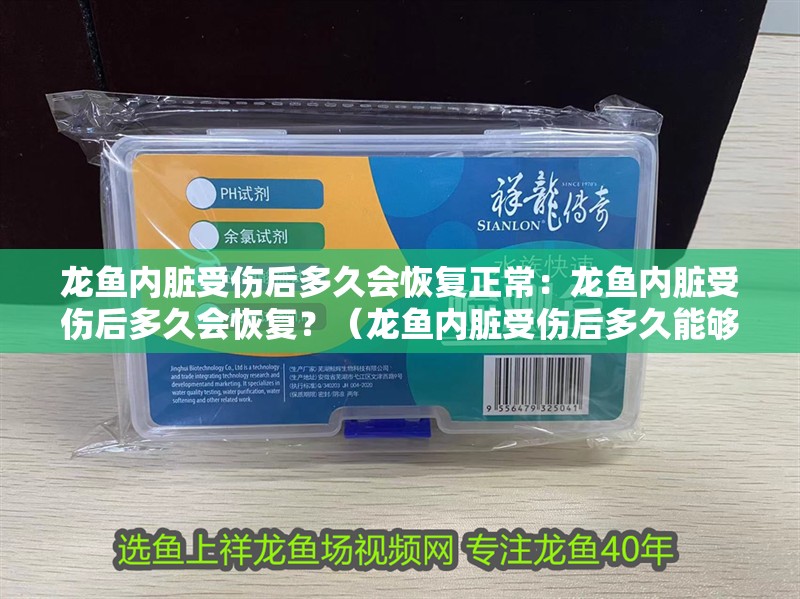 龍魚內臟受傷后多久會恢復正常：龍魚內臟受傷后多久會恢復？（龍魚內臟受傷后多久能夠恢復？）