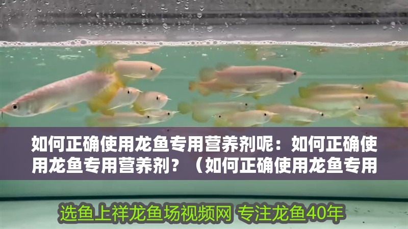 如何正確使用龍魚專用營養劑呢：如何正確使用龍魚專用營養劑？（如何正確使用龍魚專用營養劑）