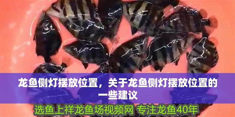 龍魚側燈擺放位置，關于龍魚側燈擺放位置的一些建議