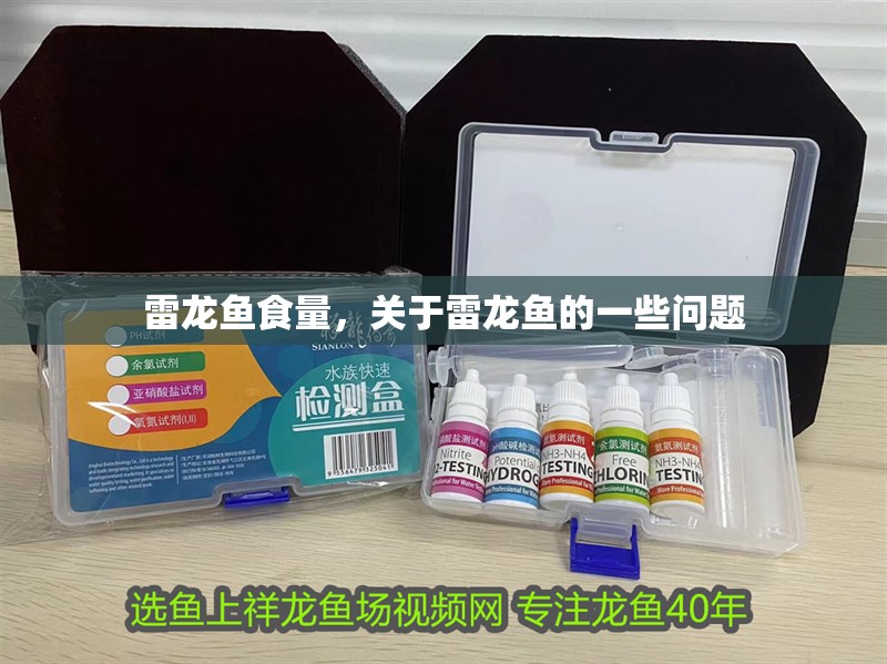 鸚鵡魚和銀龍魚混養怎樣喂食 雷龍魚食量,關于雷龍魚的一些問題 觀賞魚百科 雷龍魚食量,關于雷龍魚的一些問題 雷龍魚食量,關于雷龍魚的一些問題 觀賞魚百科